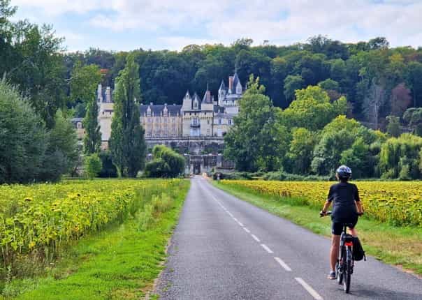Cyclist riding in the Loire Valley past sunflowers approaching the Chateau de Usse