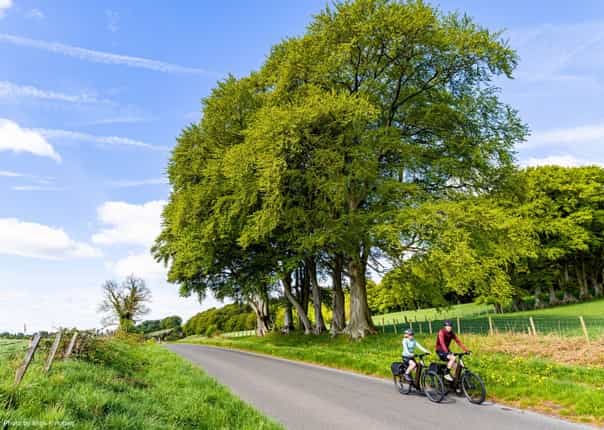 Cyclists on electric bikes riding past large trees along LEJOG route
