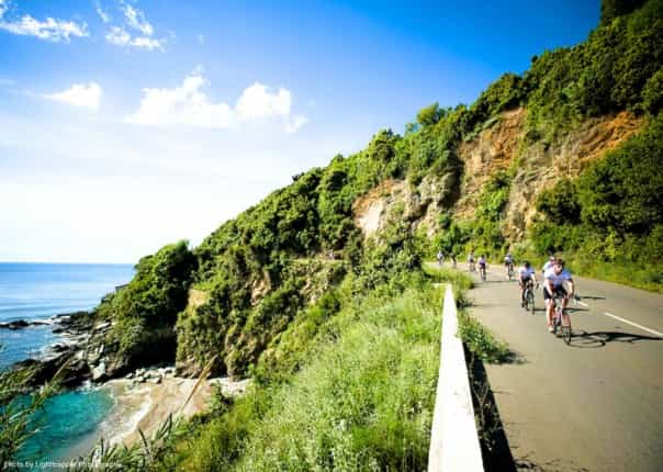 Group of road cyclists riding along a scenic coastal road in Corsica, France