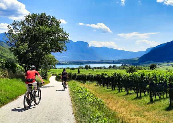 Cyclists riding through the vineyards of South Tyrol, Italy on a cycling tour