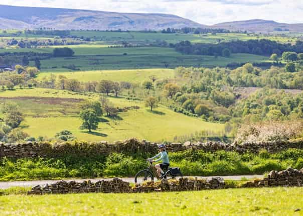 Female cyclist riding through rolling green valleys of Northumberland along the Hadrian's Cycleway route
