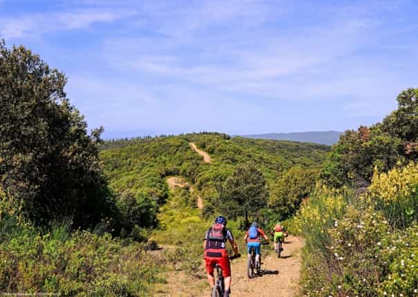 Group of mountain bikers riding in Tuscany on a cycling tour