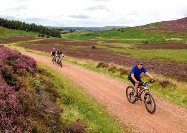 self-guided-mountain-bike-holiday-northumberland-sandstone-way.jpg