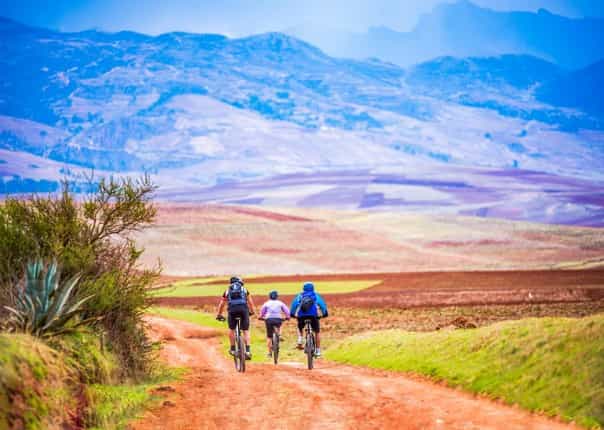 Group of cyclists mountain biking in Peru