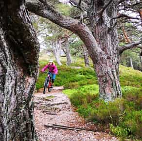 Amy riding a mountain bike