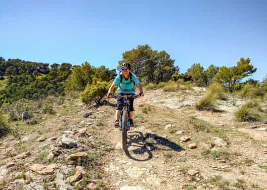 Sierras mountain biking