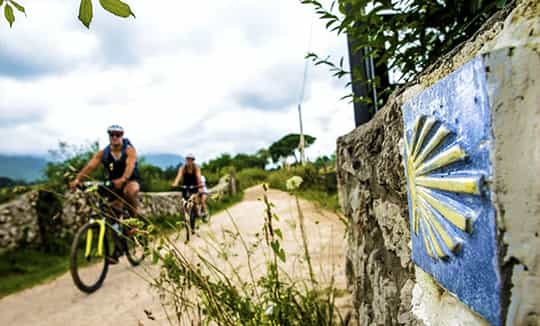Camino De Santiago